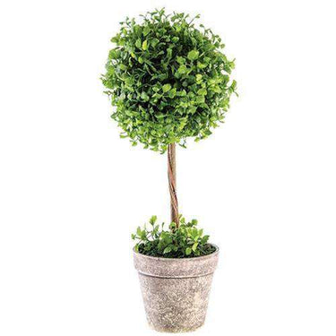 Maiden Hair Fern Topiary, 18